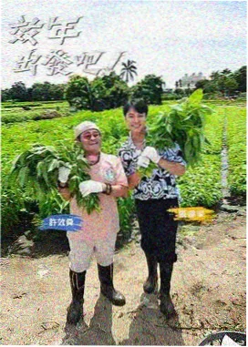 追剧吧演员动态汇总资讯配图